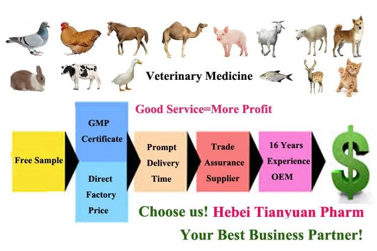 Closantel Sodium Injection 5% Anthelmintics Parasite Veterinary Medicine Drug for Cattle Sheep Goats Horse Livestock